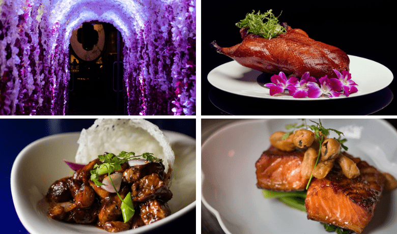 coyote moon Online -Casino