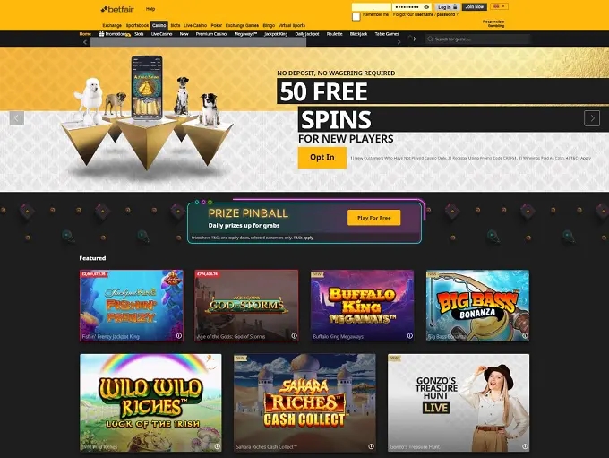 an online casino