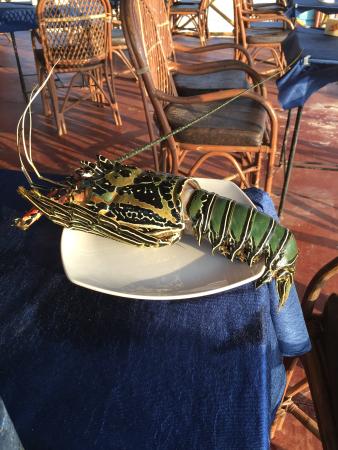 no deposit casino bonus july 2019